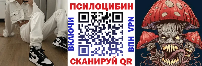 Псилоцибиновые грибы Cubensis наркота Верея