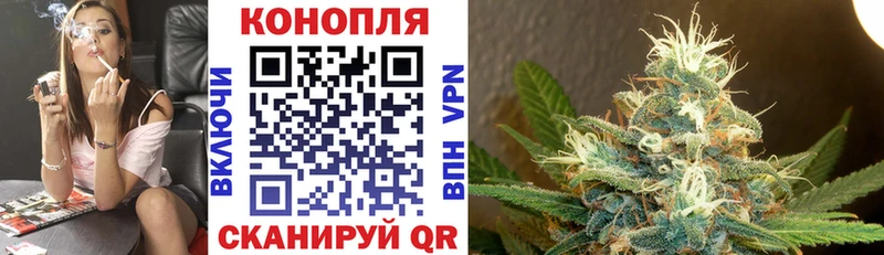 наркошоп Верея МАРИХУАНА VHQ